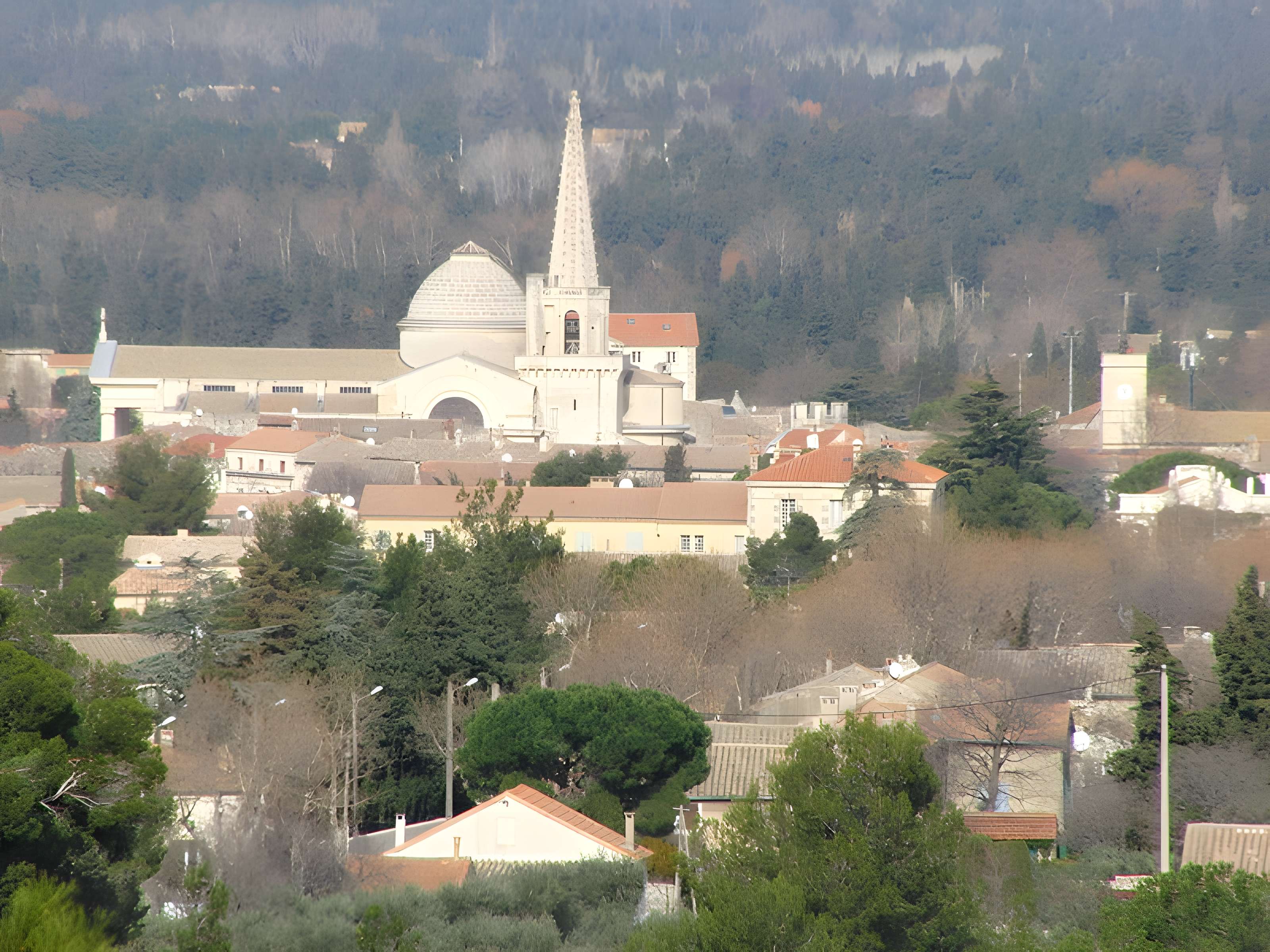 Collégiale Saint-Martin de Saint-Rémy-de-Provence