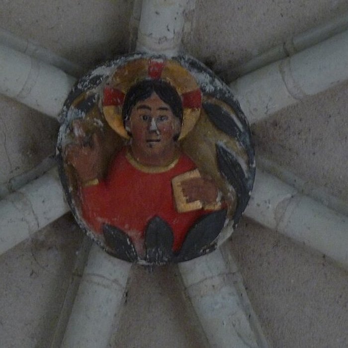 Photo de Collégiale Saint-Martin de Trôo