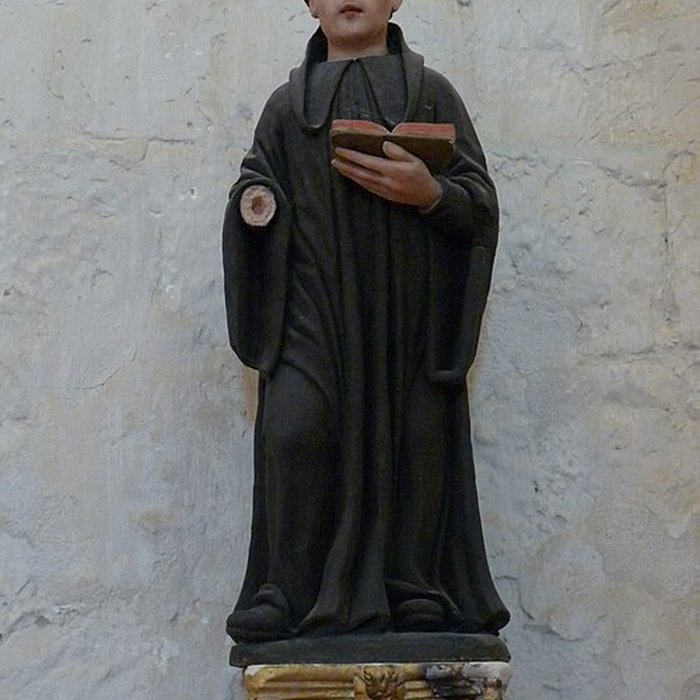 Photo de Collégiale Saint-Martin de Trôo