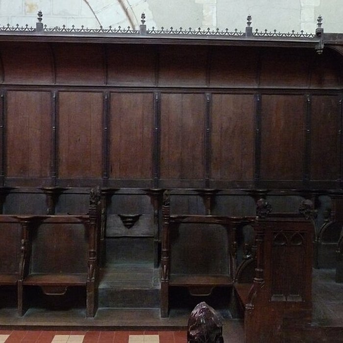 Photo de Collégiale Saint-Martin de Trôo