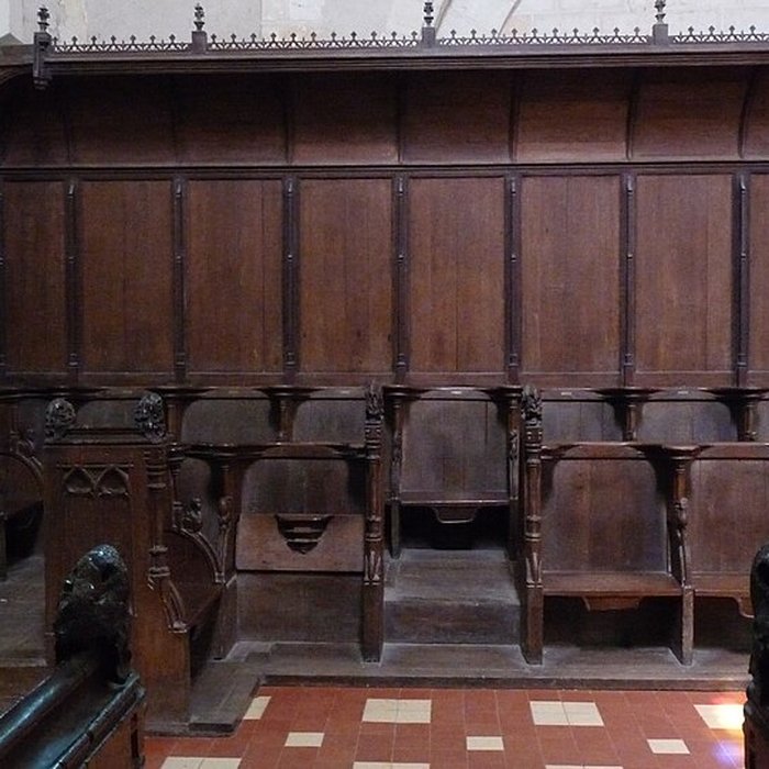 Photo de Collégiale Saint-Martin de Trôo