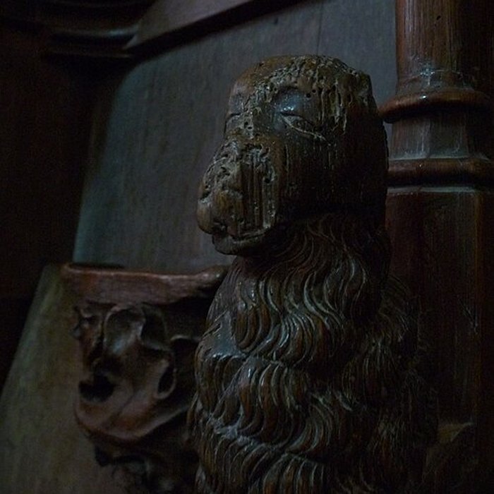 Photo de Collégiale Saint-Martin de Trôo