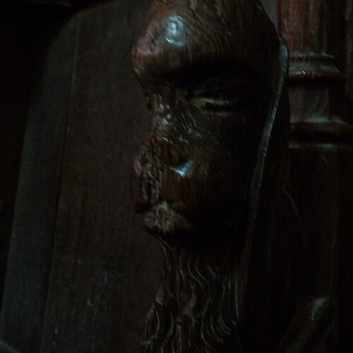 Photo de Collégiale Saint-Martin de Trôo