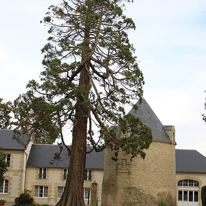 Photo de Ancien château de Boissy