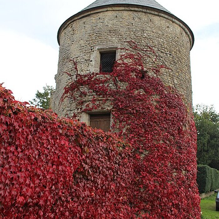 Photo de Ancien château de Boissy