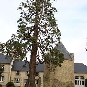 Ancien château de Boissy