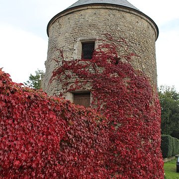 Ancien château de Boissy