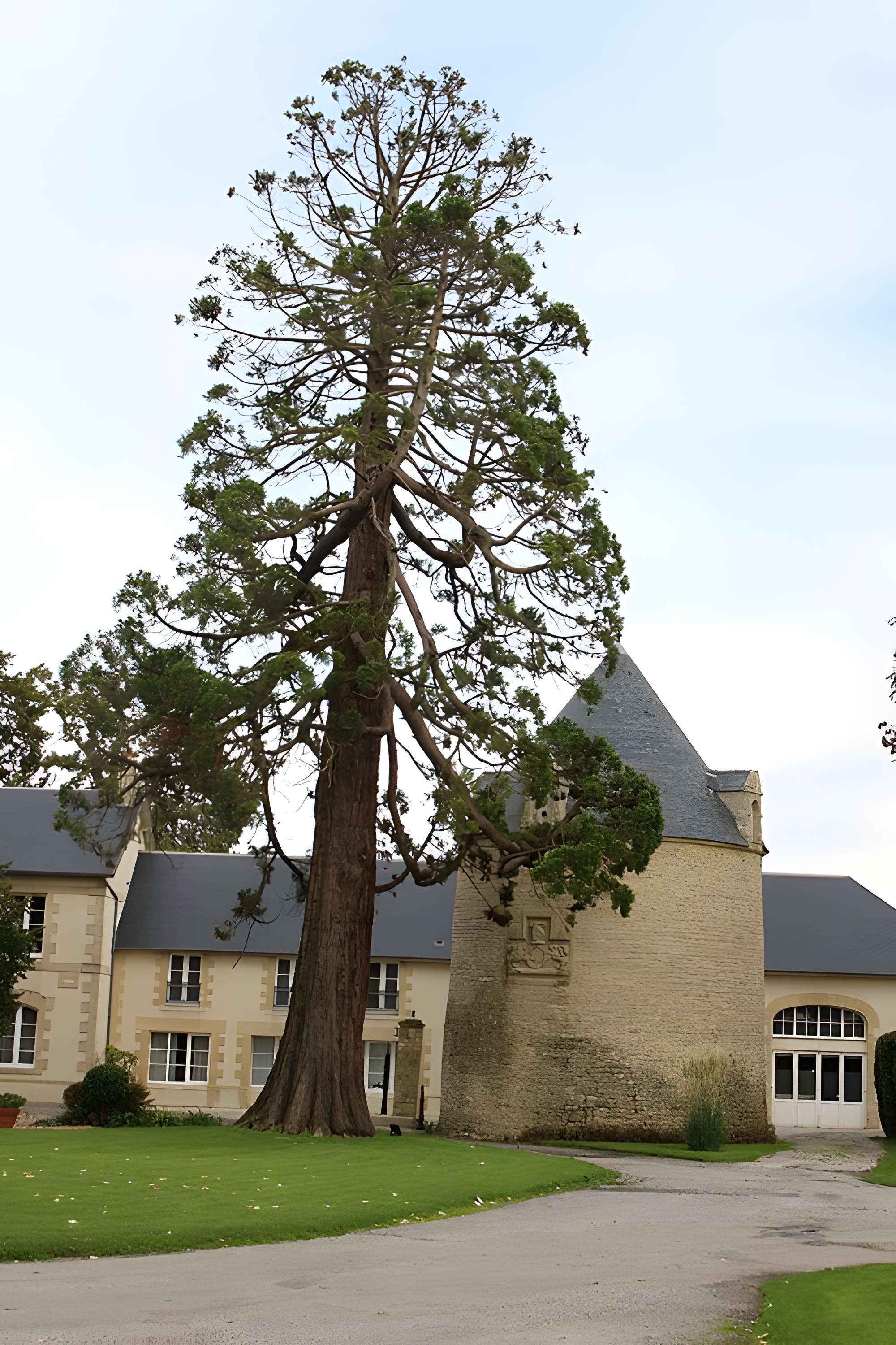 Ancien château de Boissy