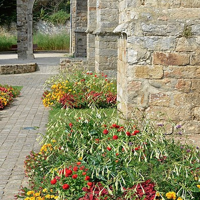 Photo de Collégiale Saint-Pierre-la-Cour du Mans