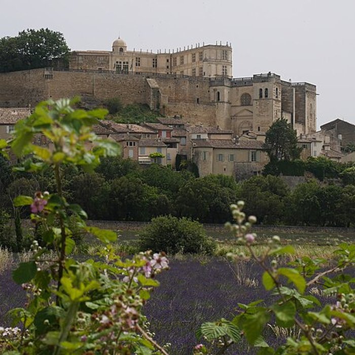 Photo de Collégiale Saint-Sauveur de Grignan