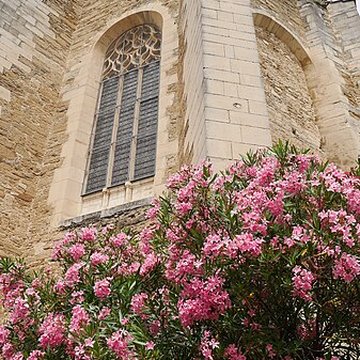 Collégiale Saint-Sauveur de Grignan