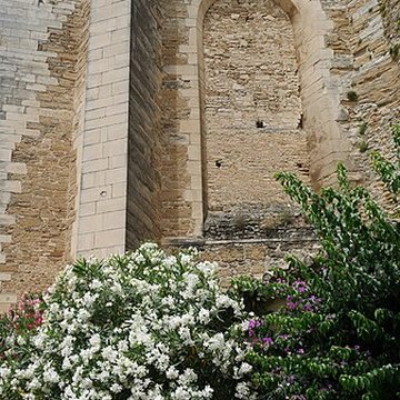Collégiale Saint-Sauveur de Grignan