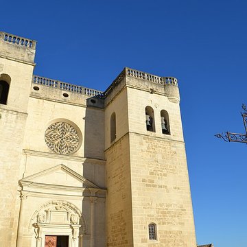 Collégiale Saint-Sauveur de Grignan