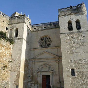 Collégiale Saint-Sauveur de Grignan