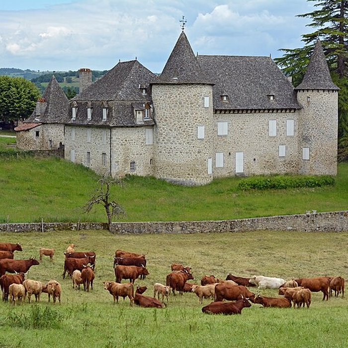 Photo de Château dEntraygues