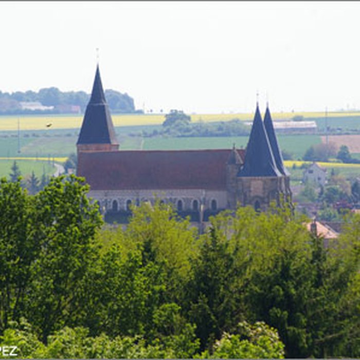 Photo de Collégiale Saint-Sylvain de Levroux