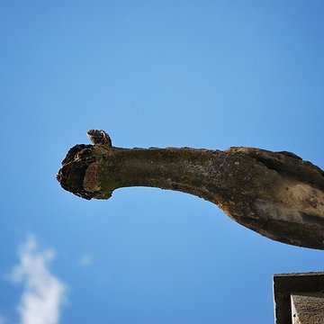 Collégiale Saint-Sylvain de Levroux