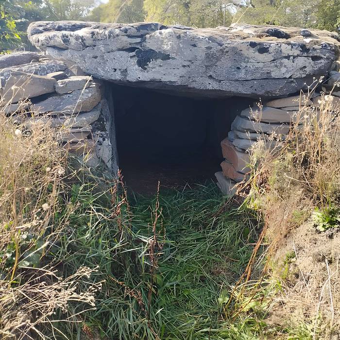 Photo de Grand dolmen de La Table au Loup ou Table de Maleu