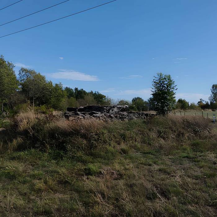 Photo de Grand dolmen de La Table au Loup ou Table de Maleu