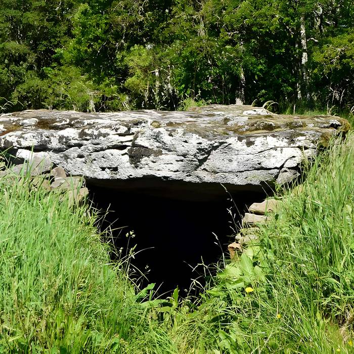 Photo de Grand dolmen de La Table au Loup ou Table de Maleu