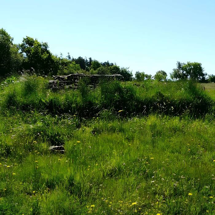 Photo de Grand dolmen de La Table au Loup ou Table de Maleu