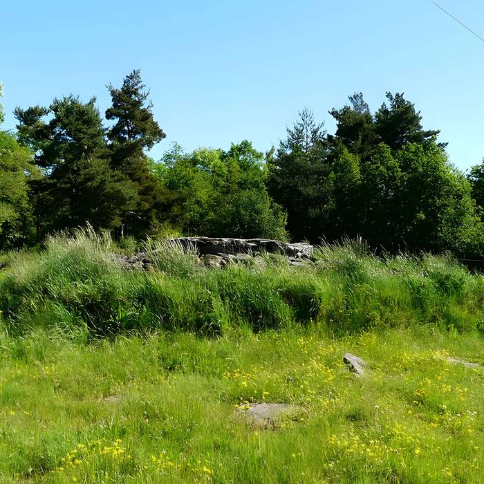 Photo de Grand dolmen de La Table au Loup ou Table de Maleu