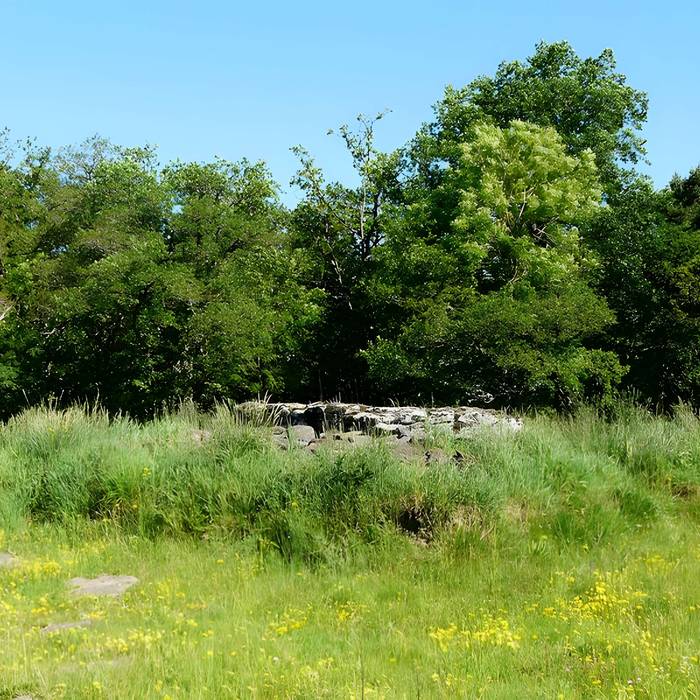 Photo de Grand dolmen de La Table au Loup ou Table de Maleu