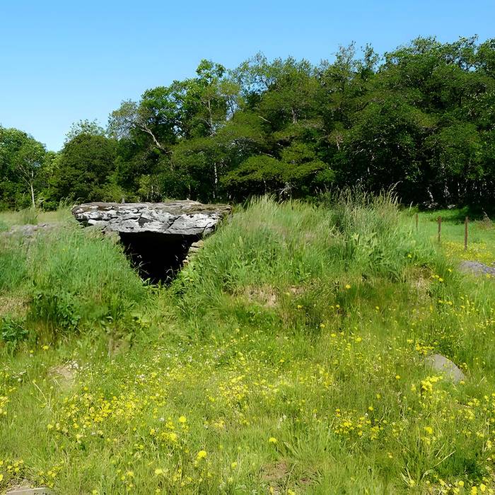 Photo de Grand dolmen de La Table au Loup ou Table de Maleu