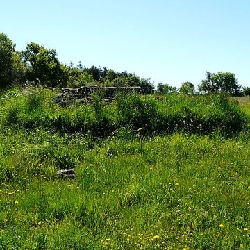 Grand dolmen de La Table au Loup ou Table de Maleu