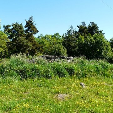 Grand dolmen de La Table au Loup ou Table de Maleu