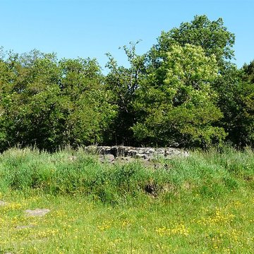 Grand dolmen de La Table au Loup ou Table de Maleu