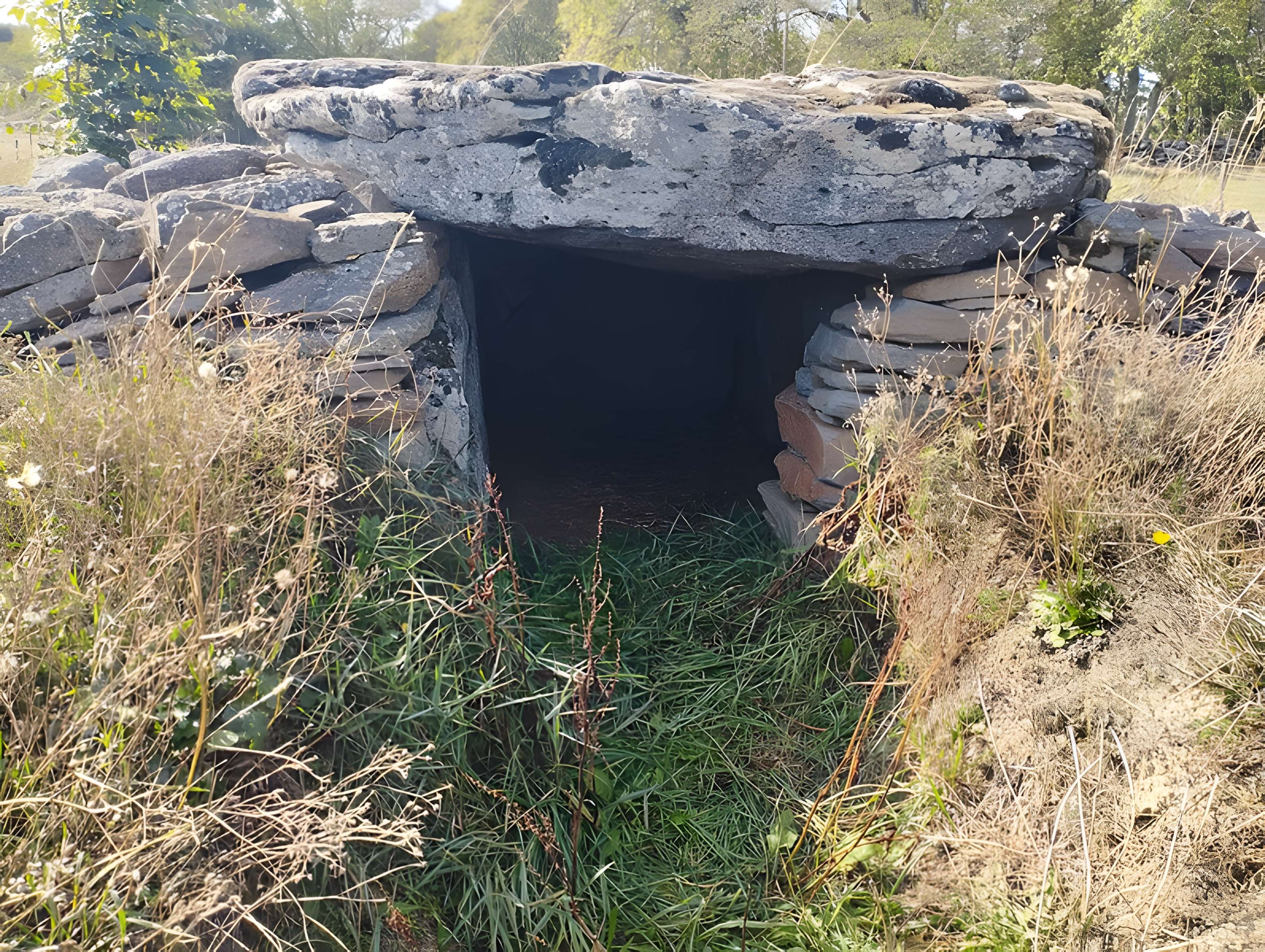 Grand dolmen de La Table au Loup ou Table de Maleu