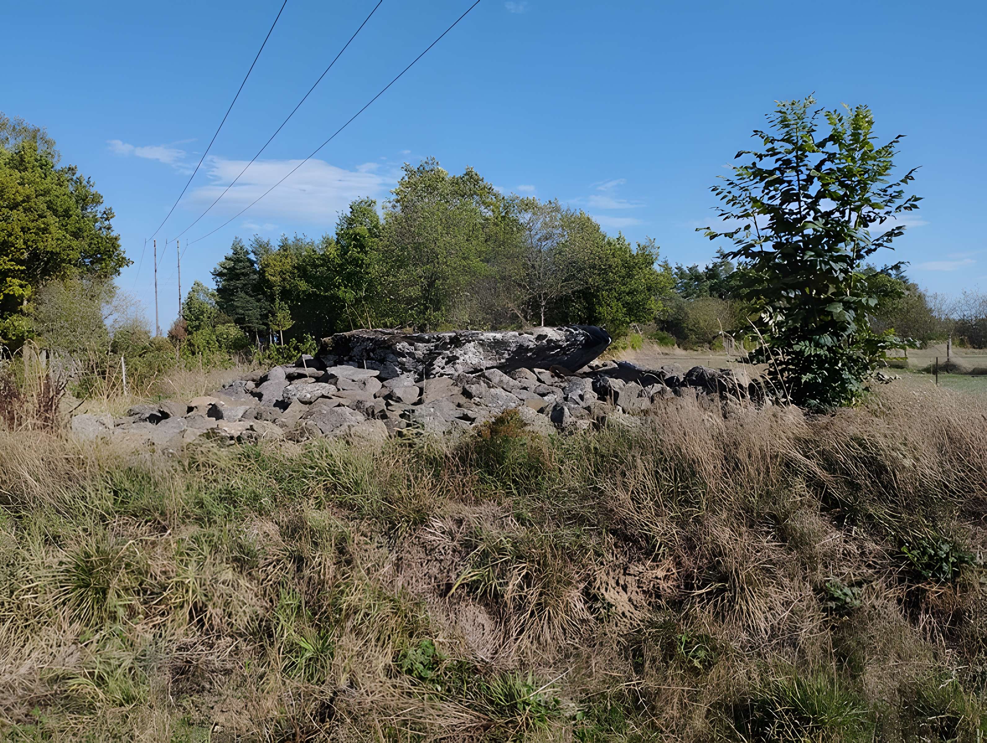 Grand dolmen de La Table au Loup ou Table de Maleu