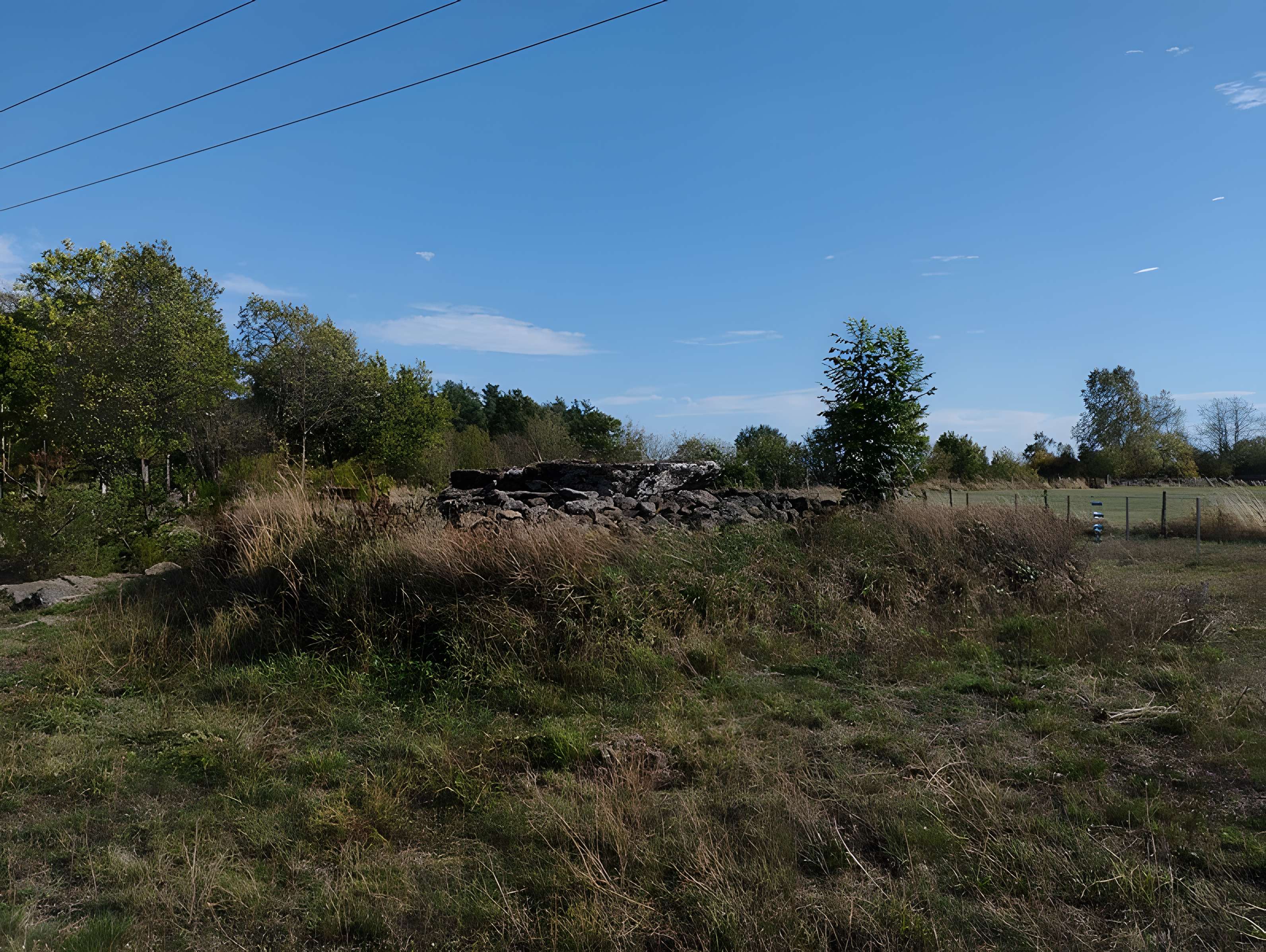 Grand dolmen de La Table au Loup ou Table de Maleu