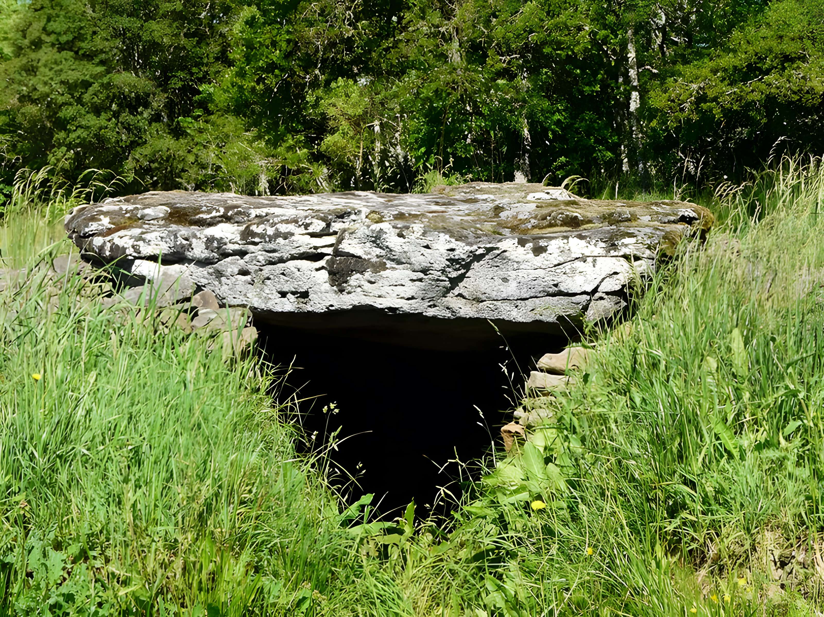 Grand dolmen de La Table au Loup ou Table de Maleu