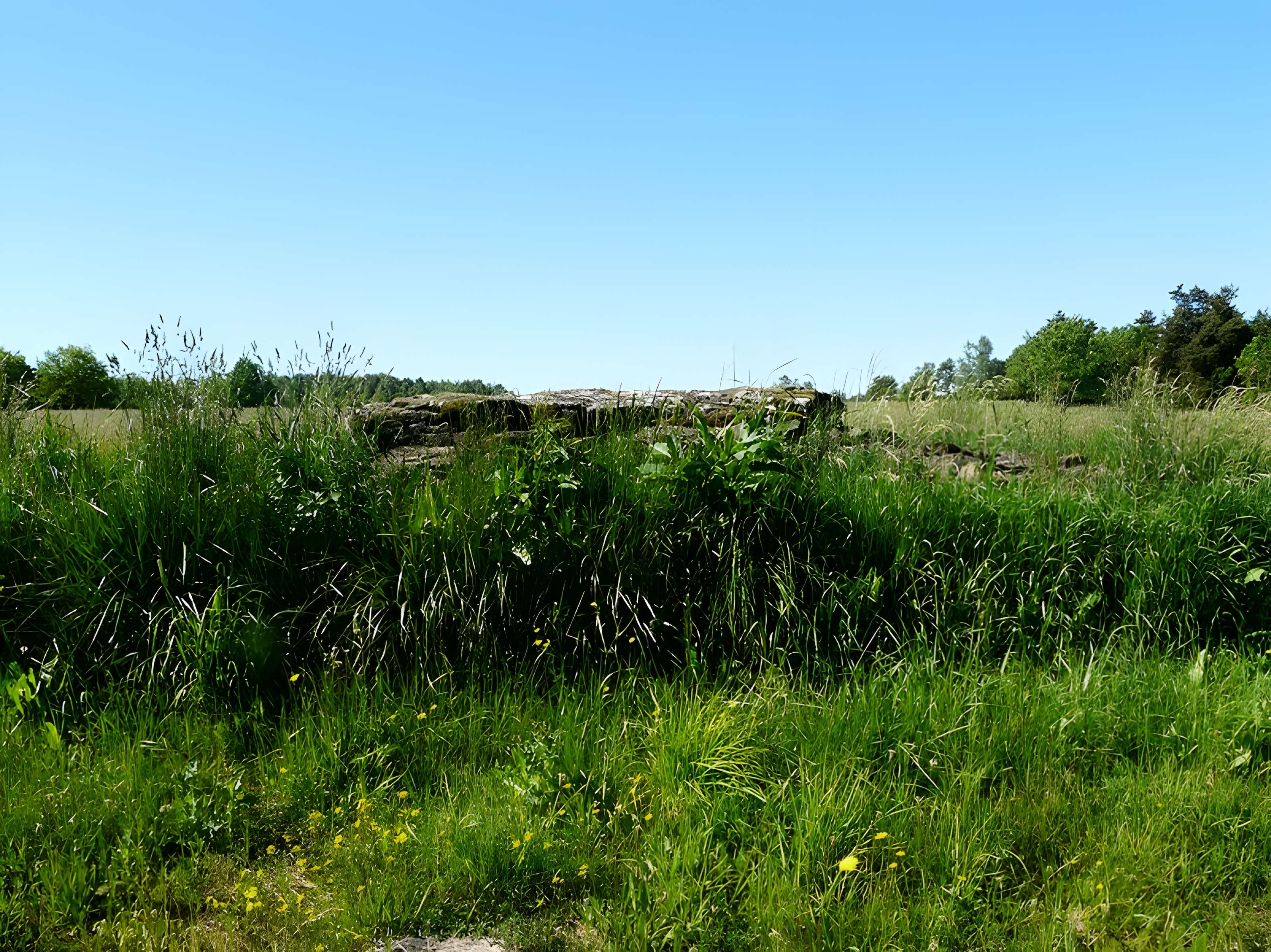 Grand dolmen de La Table au Loup ou Table de Maleu