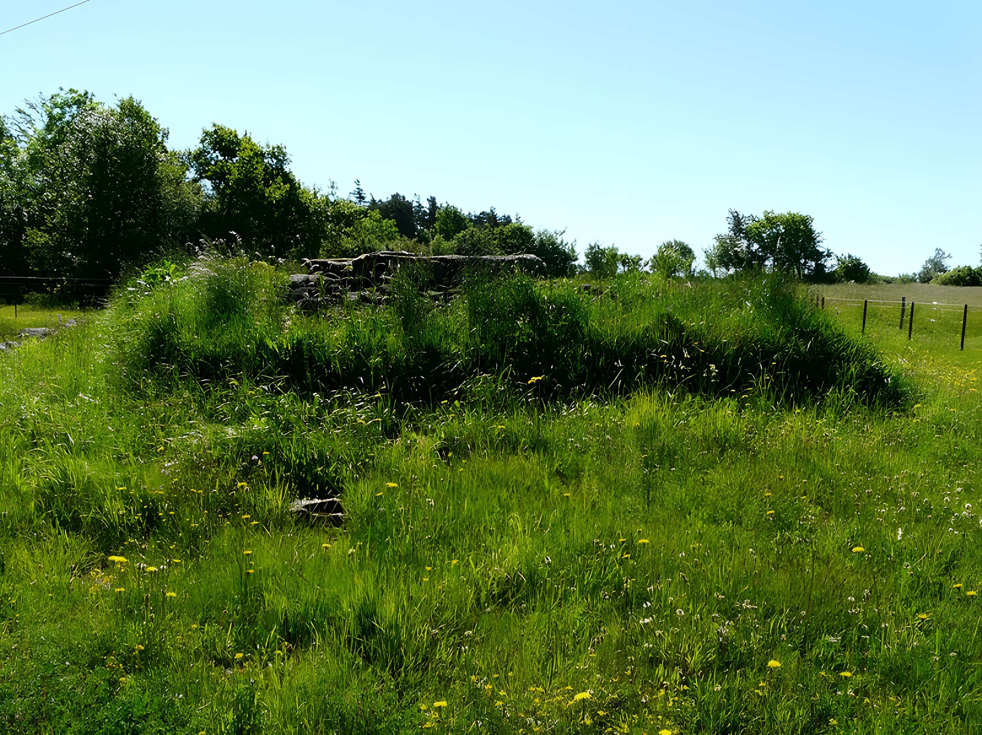 Grand dolmen de La Table au Loup ou Table de Maleu