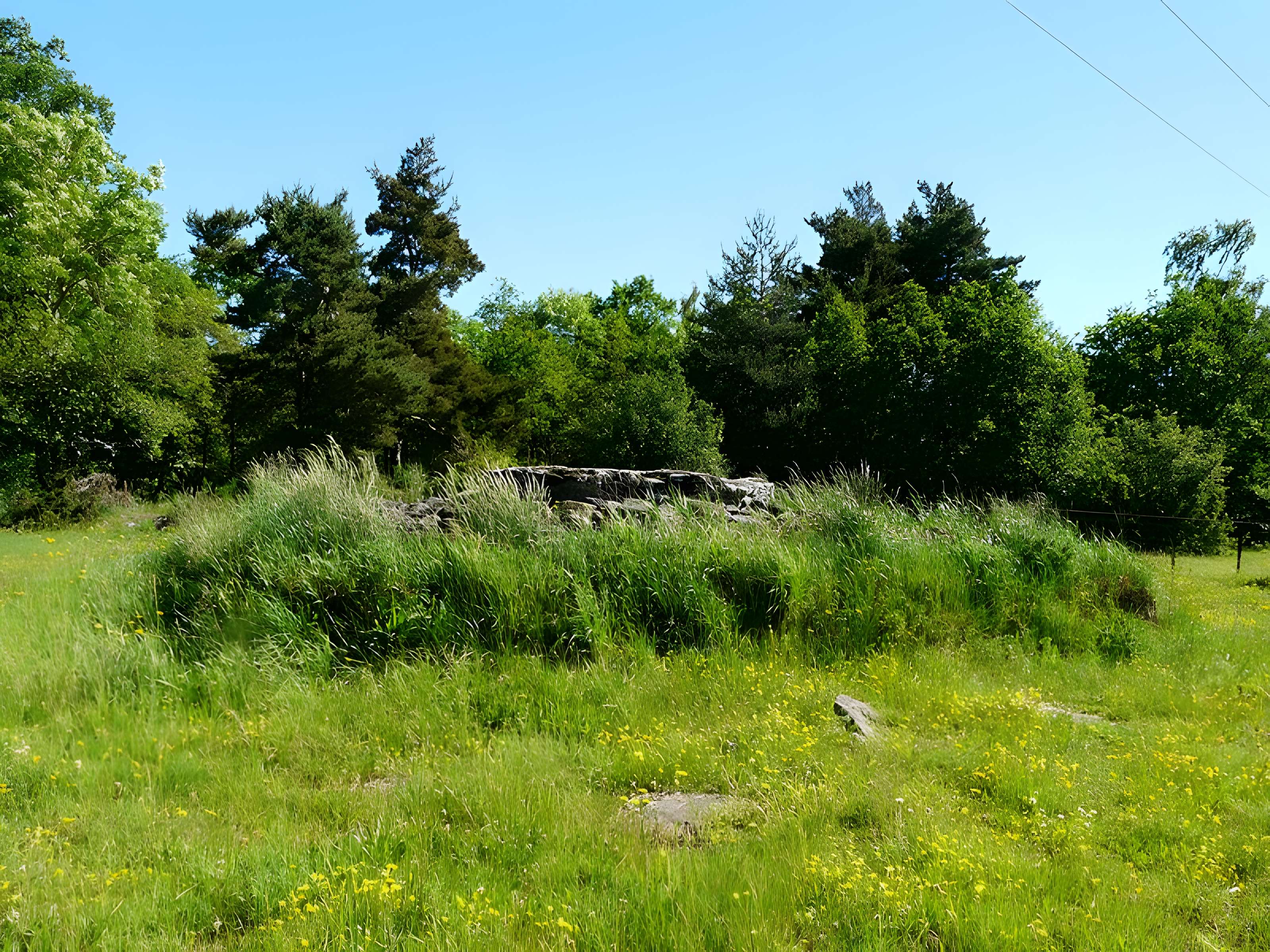 Grand dolmen de La Table au Loup ou Table de Maleu