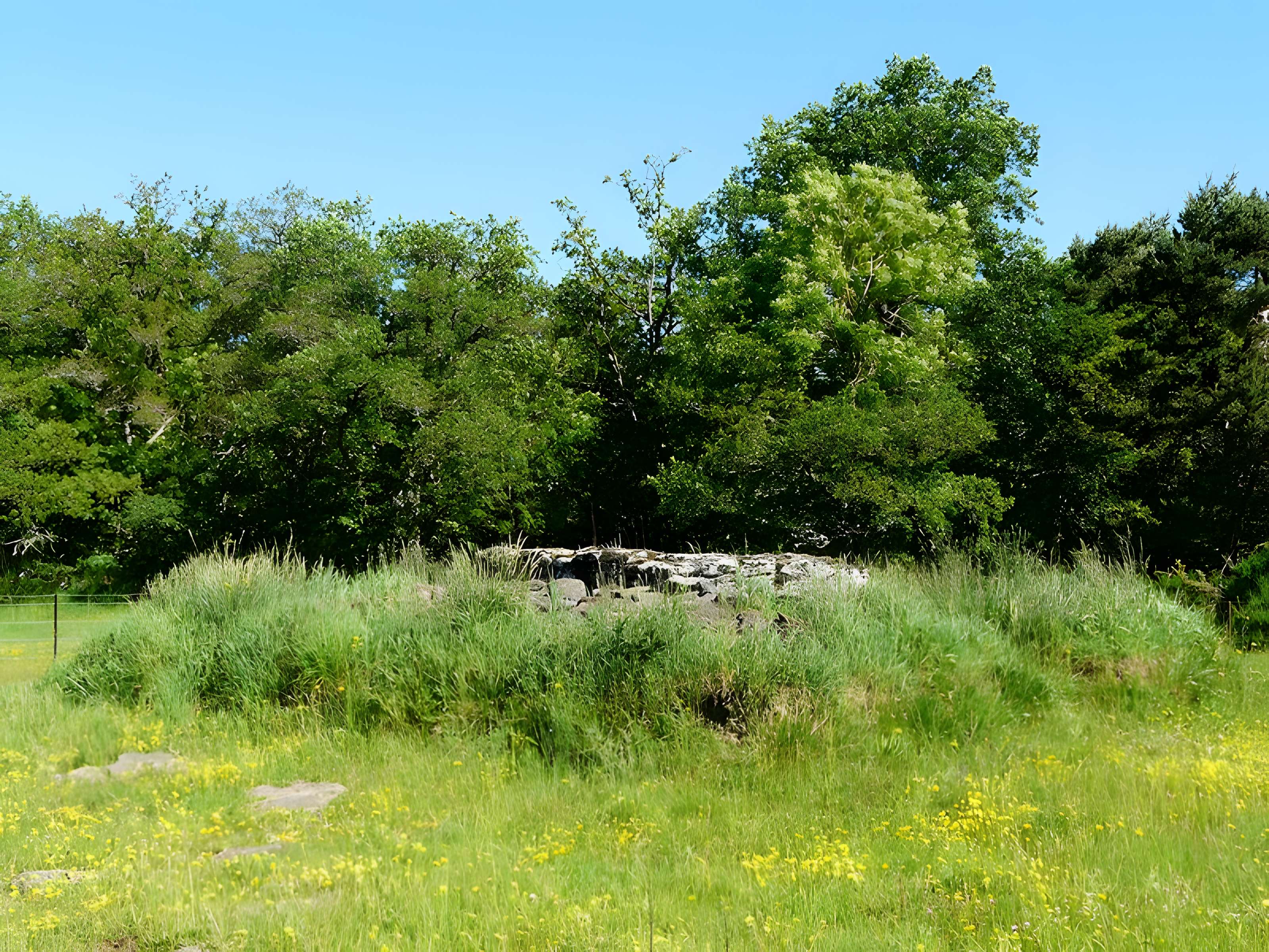 Grand dolmen de La Table au Loup ou Table de Maleu