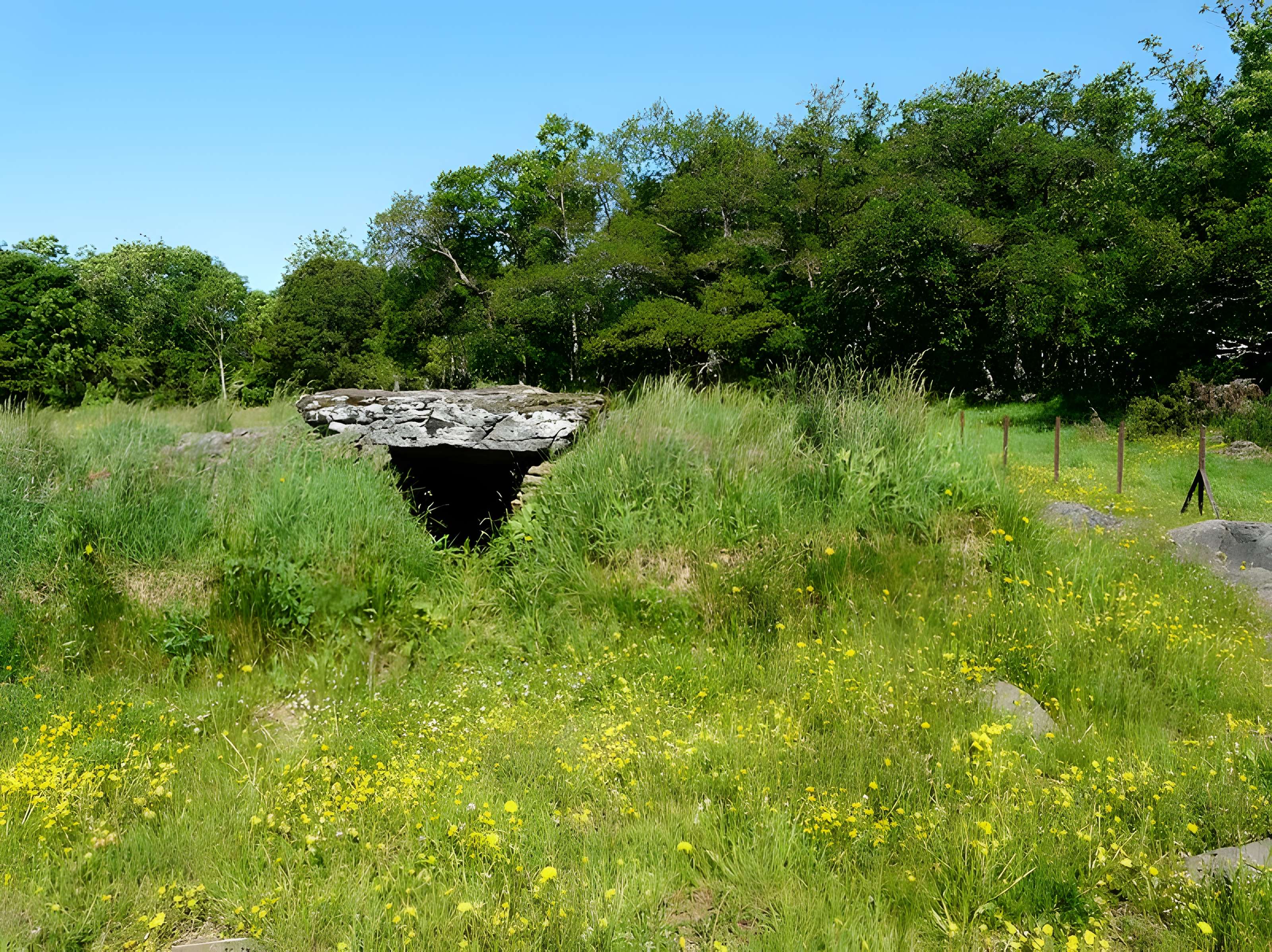 Grand dolmen de La Table au Loup ou Table de Maleu