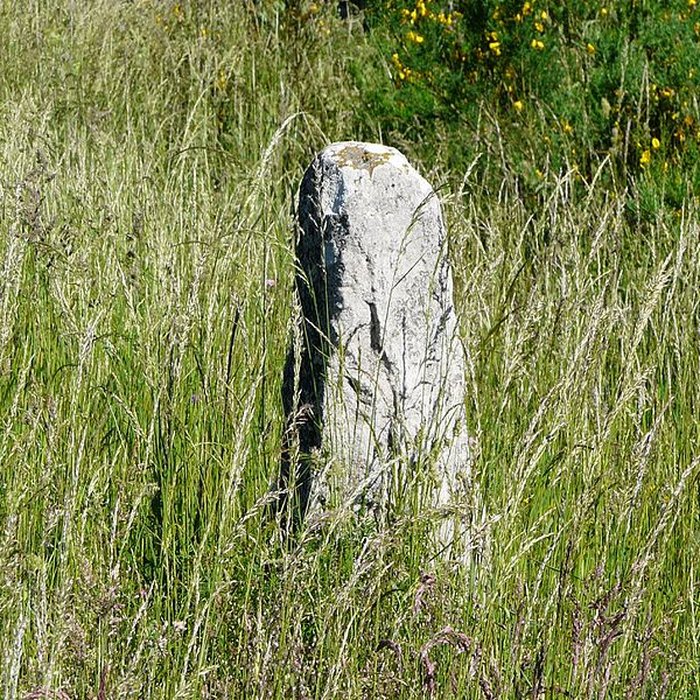 Photo de Menhir de Bargueyrac ou de la Pierre Plantade