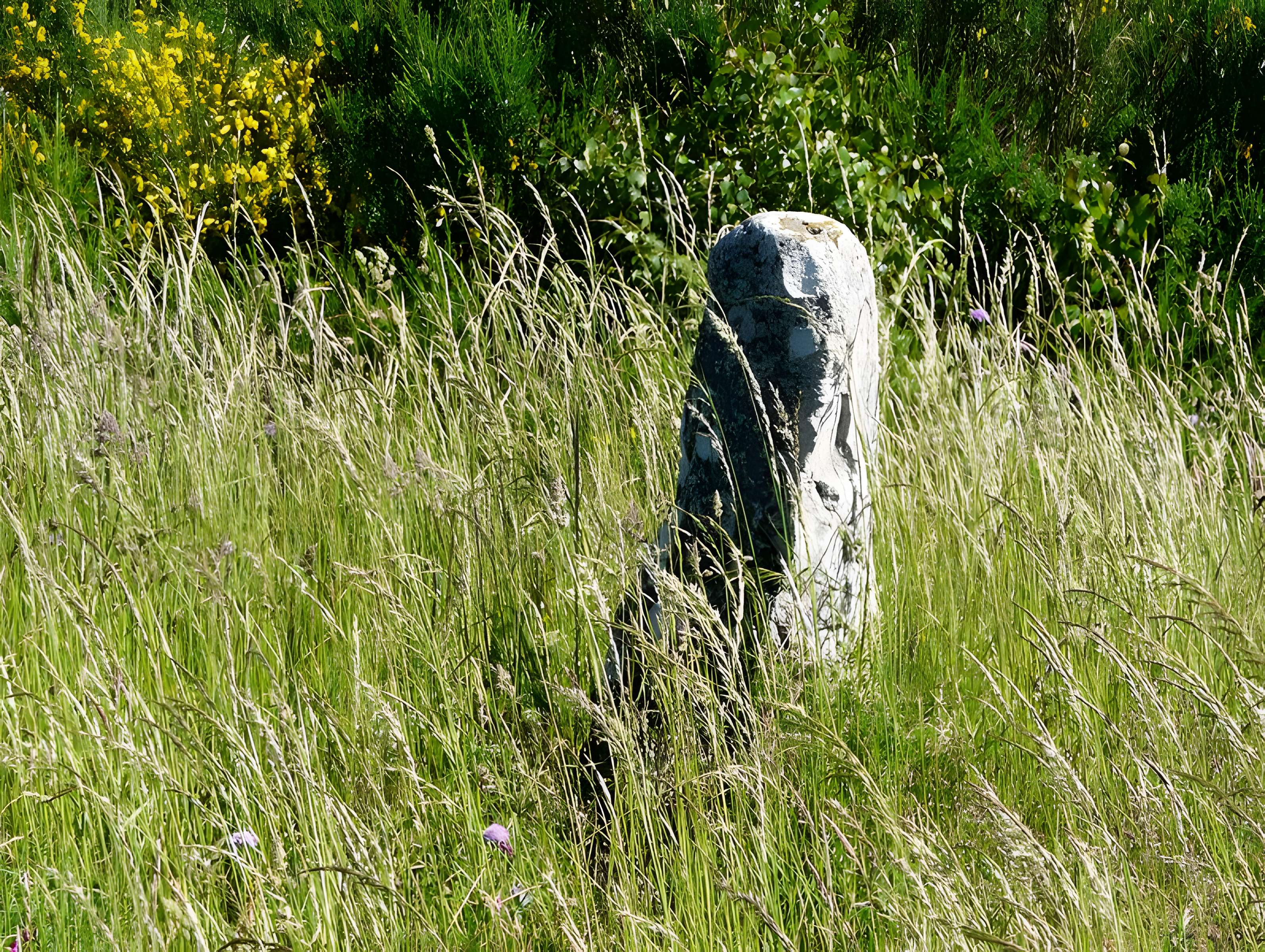 Menhir de Bargueyrac ou de la Pierre Plantade