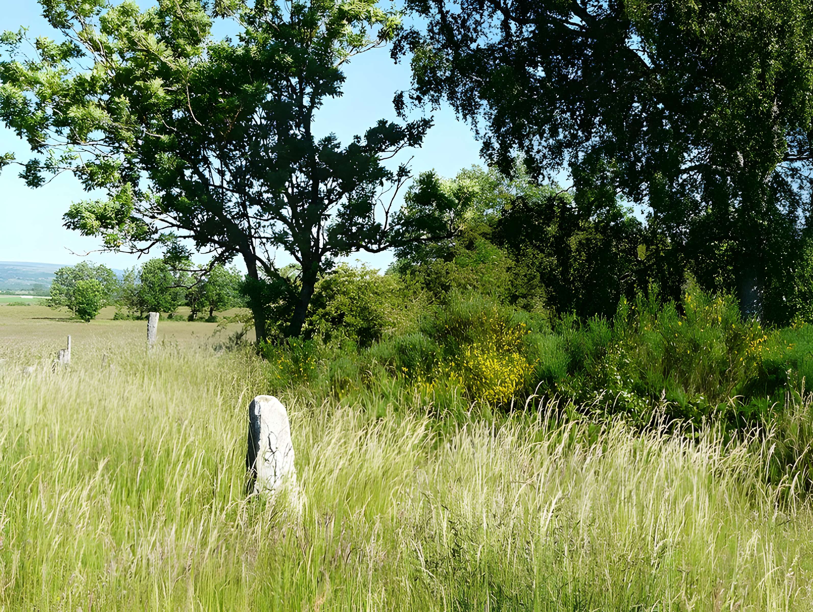 Menhir de Bargueyrac ou de la Pierre Plantade