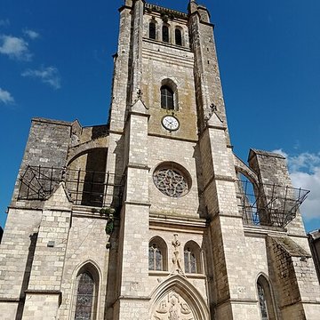 Cathédrale Saint-Pierre de Condom 