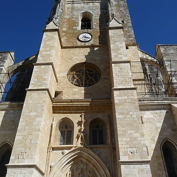 Cathédrale Saint-Pierre de Condom 