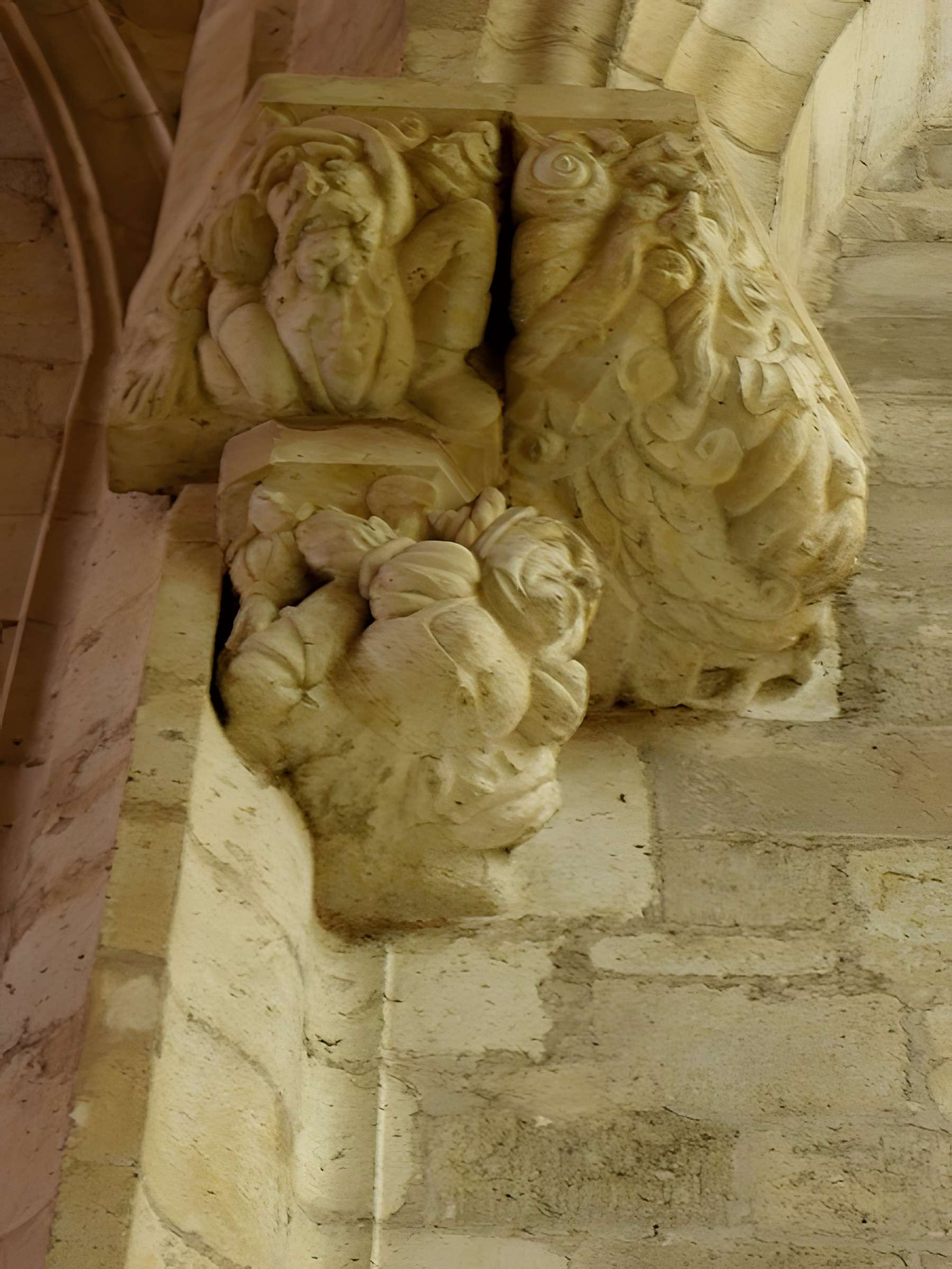 Cathédrale Saint-Pierre de Condom 