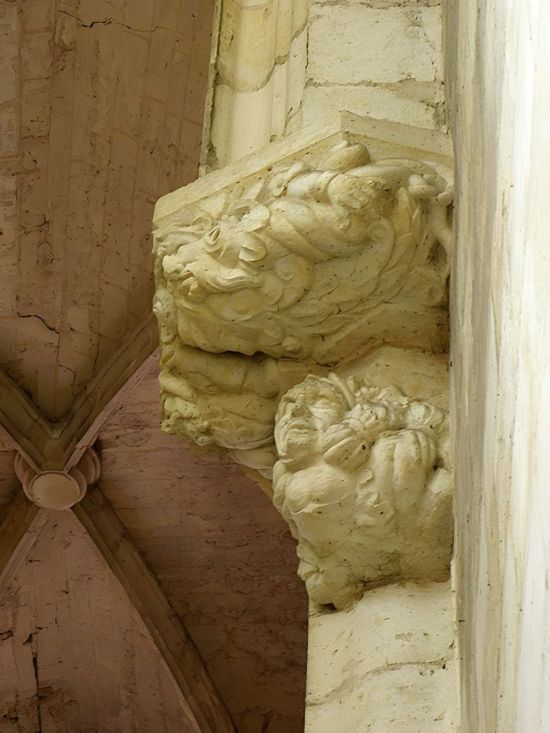 Cathédrale Saint-Pierre de Condom 