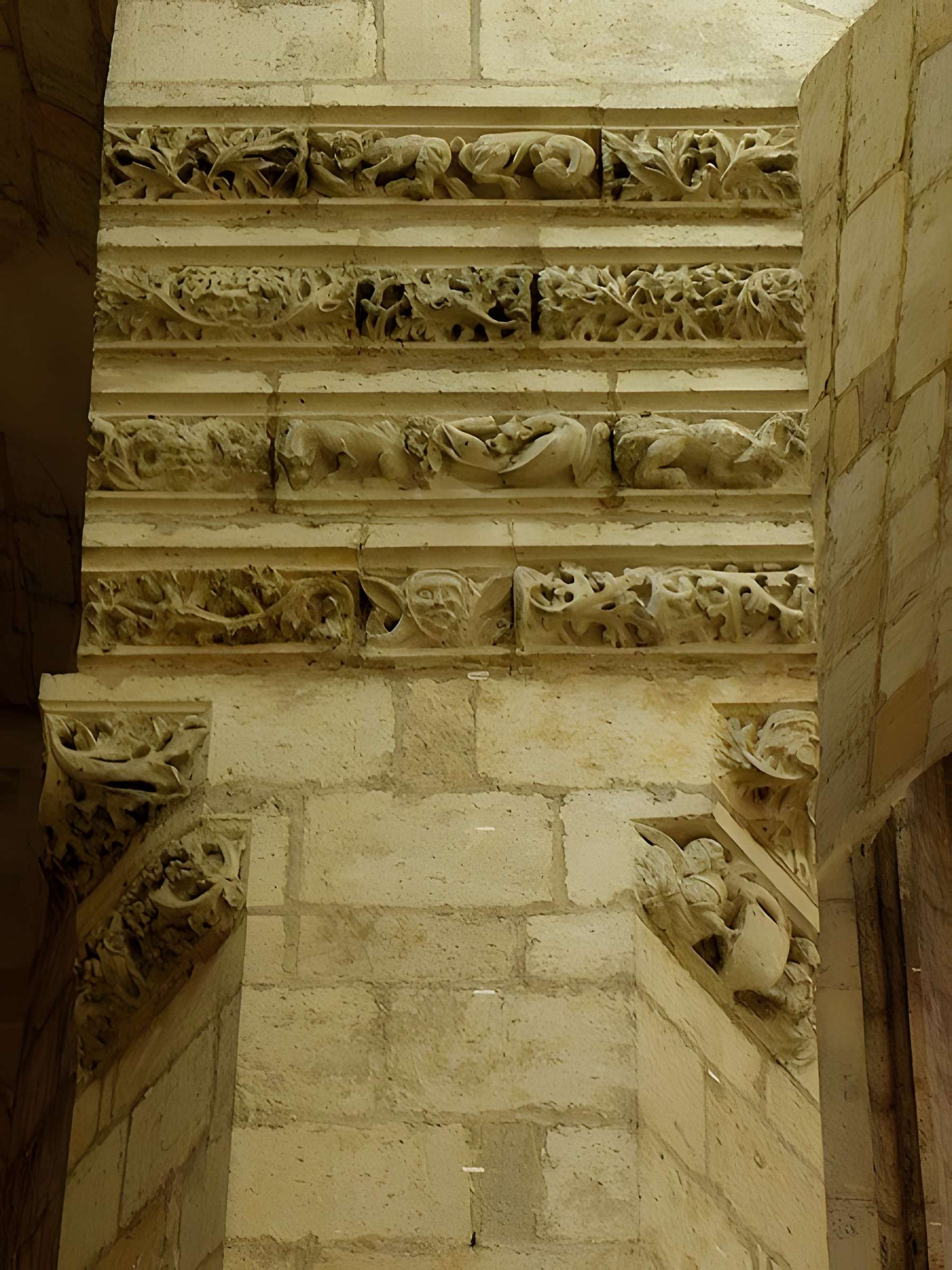 Cathédrale Saint-Pierre de Condom 