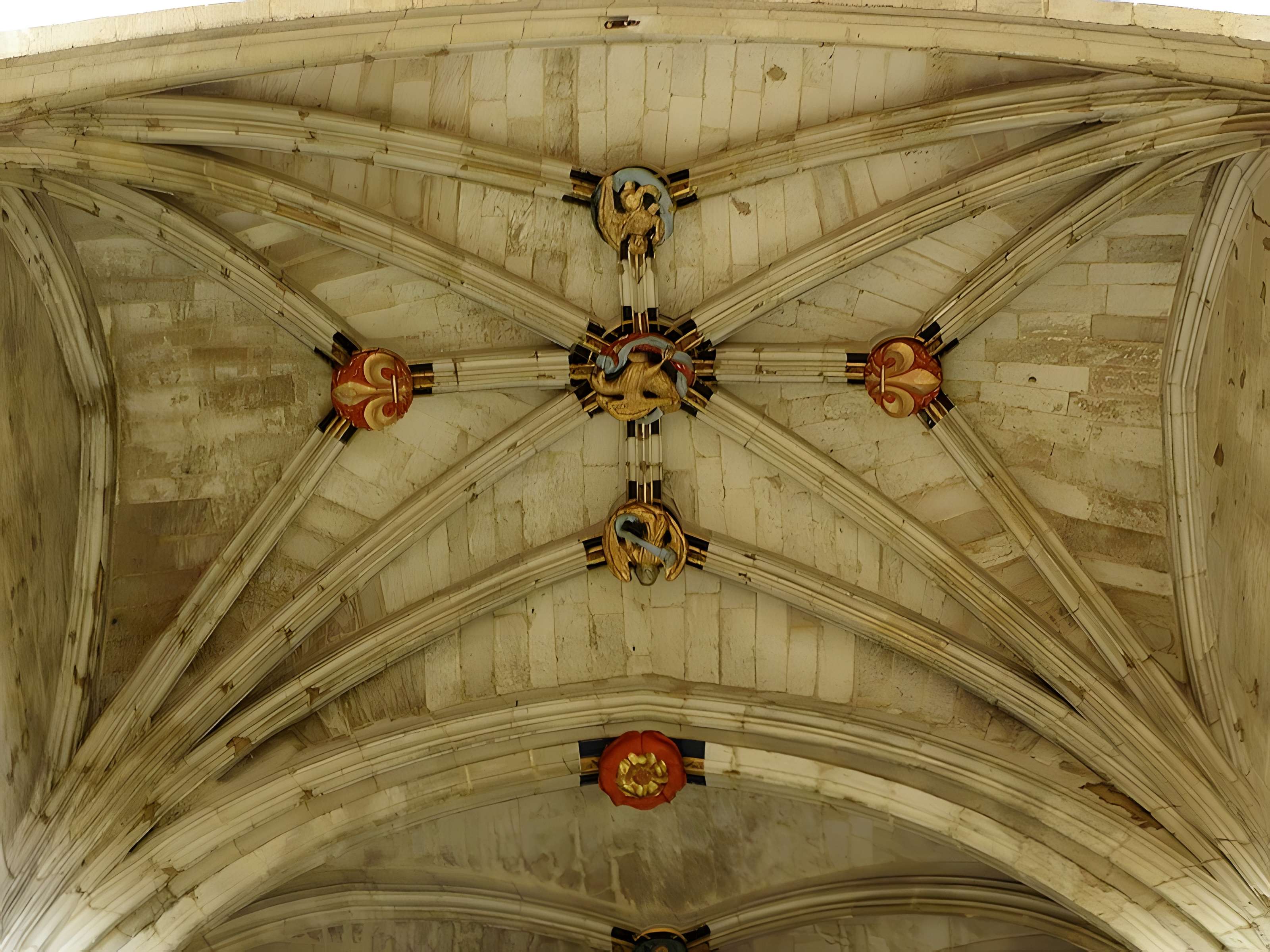 Cathédrale Saint-Pierre de Condom 