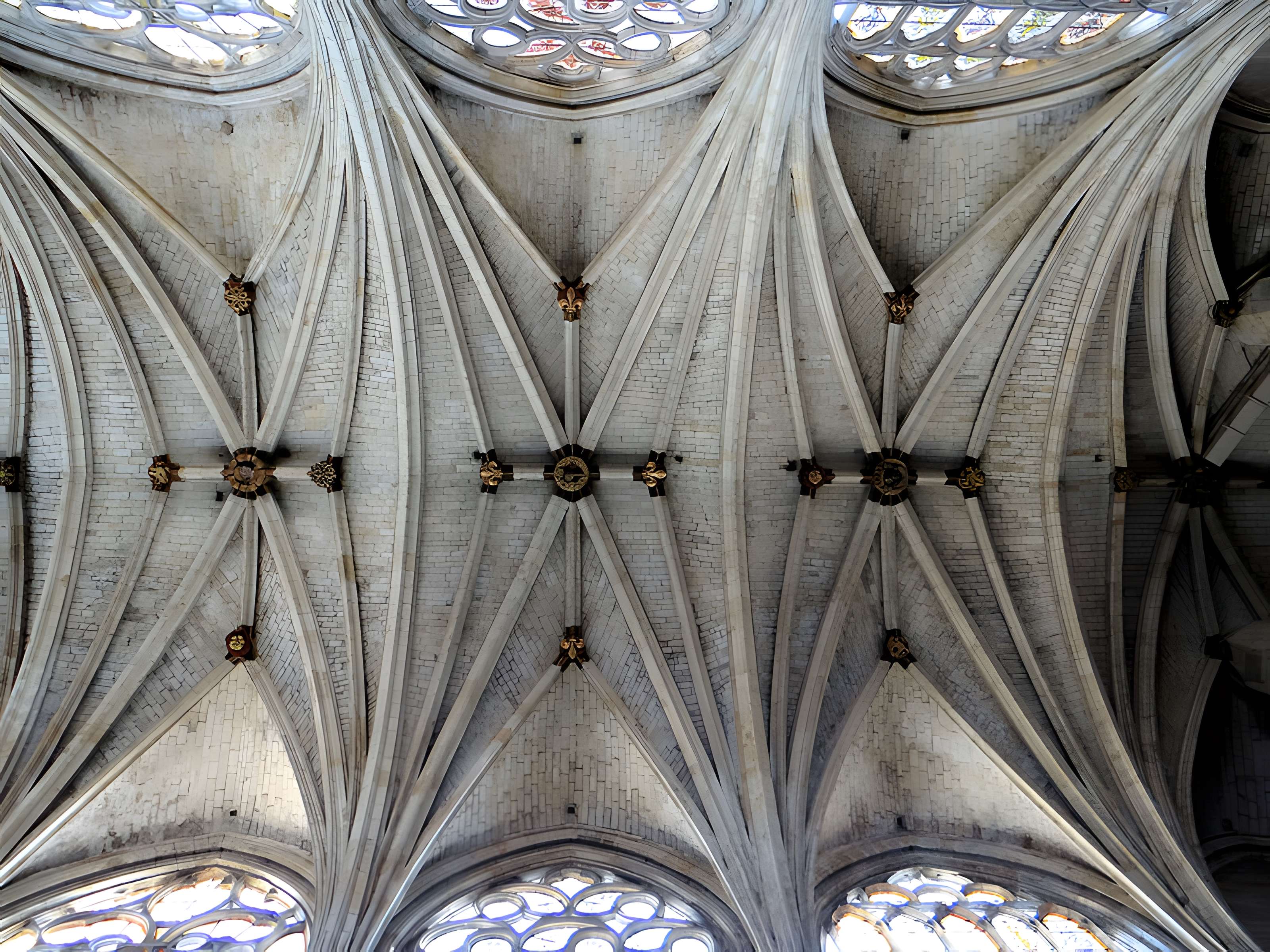 Cathédrale Saint-Pierre de Condom 